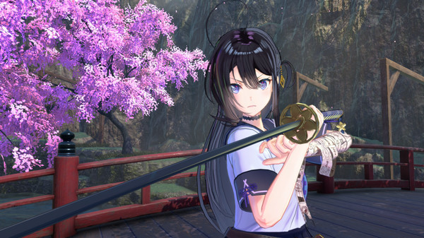 武士少女 Samurai Maiden|官方中文|本体+1.5.0升补+19DLC|NSZ|原版|