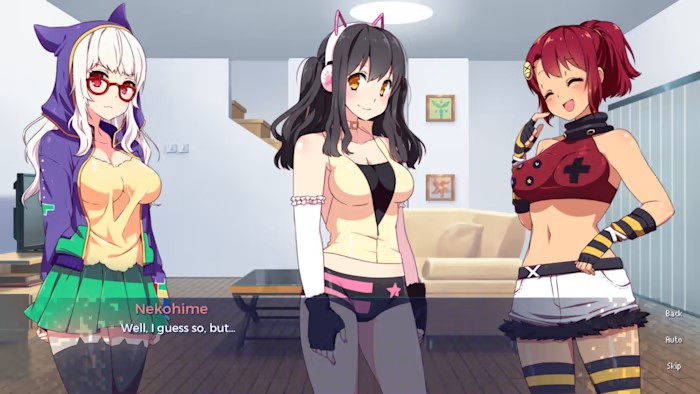 樱花玩家 Sakura Gamer|官方中文|NSZ|原版|