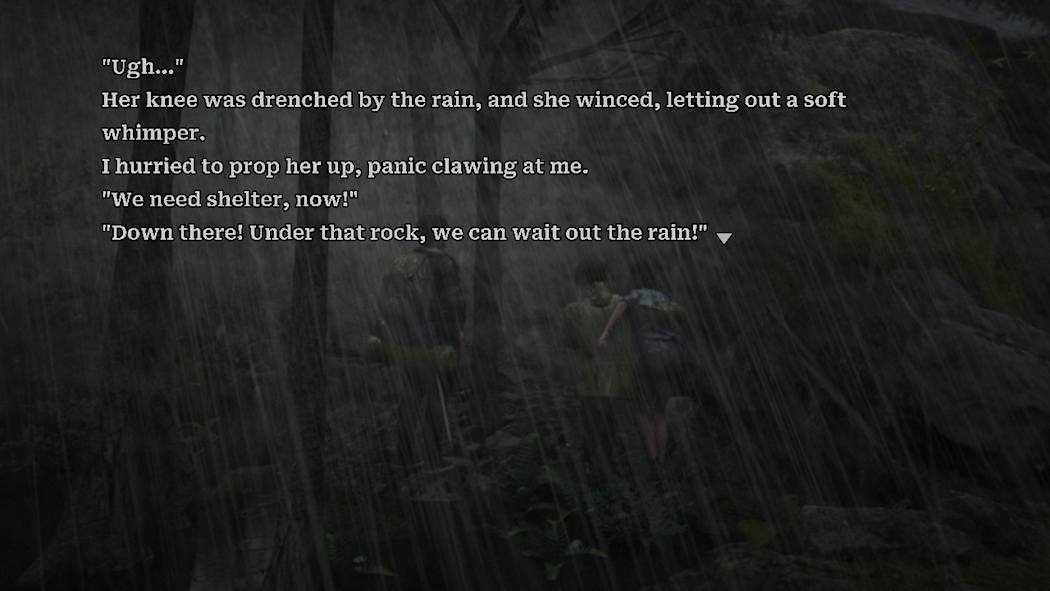 树海迷宫 Jukai Maze|官方中文|NSZ|