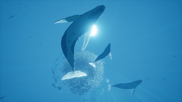 智慧之洋 ABZU|官方中文|本体+1.0.0.1升补|NSZ|原版|