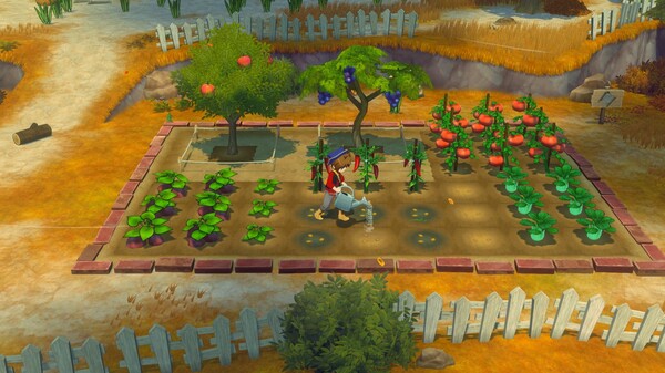 牧场物语风之繁华集市|官方中文|本体+1.1.0升补+11DLC|NSP|