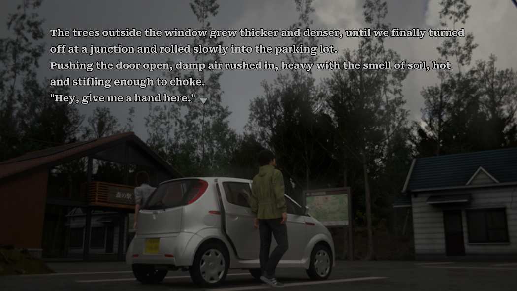 树海迷宫 Jukai Maze|官方中文|NSZ|