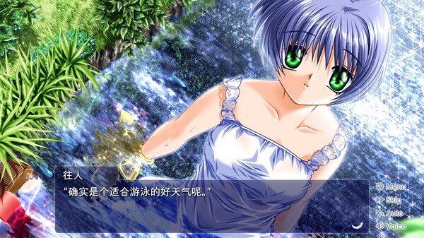 青空 AIR|官方中文|本体+2.0.1升补|NSZ|原版|