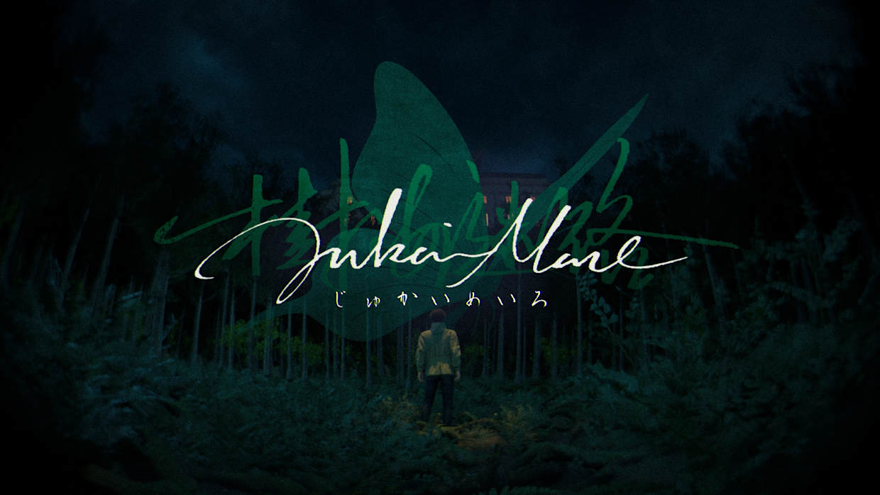 树海迷宫 Jukai Maze|官方中文|NSZ|