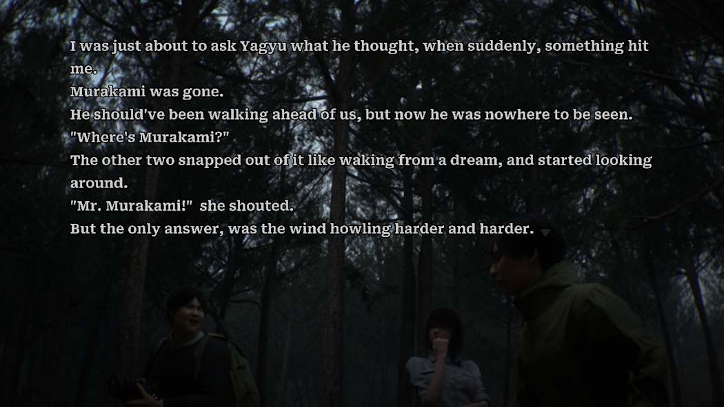 树海迷宫 Jukai Maze|官方中文|NSZ|