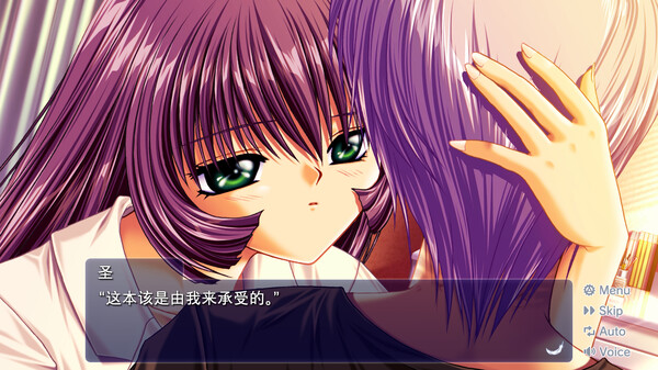 青空 AIR|官方中文|本体+2.0.1升补|NSZ|原版|