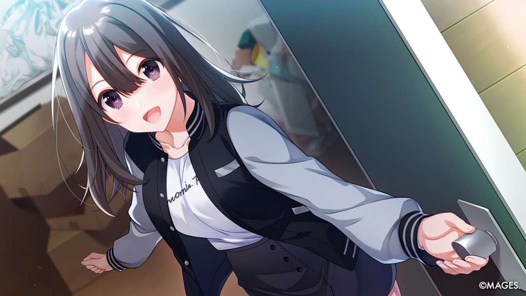 告别回忆 恋恋花札大战 Memories Off KOIKOI Taisen|官方中文|NSZ|