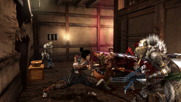 鬼武者2 Onimusha 2 Samurai’s Destiny|官方中文|本体+1.0.1升补|NSZ|原版|