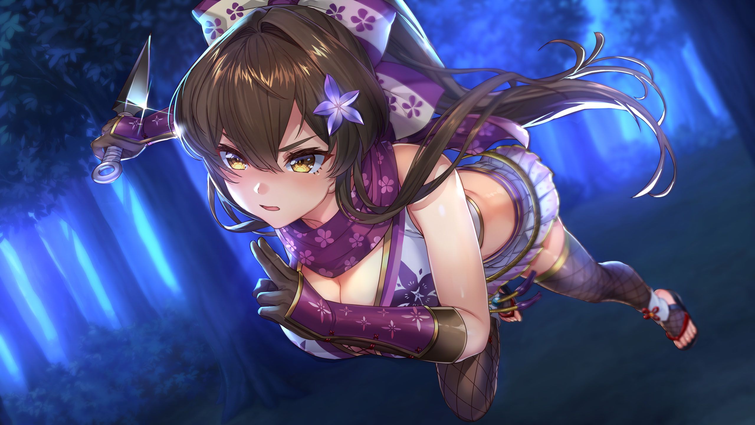 Days Collection 女忍者恋爱二部曲|官方中文|XCI|